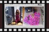 Amanda Bird of Paradise Maxi